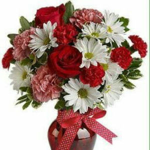 Meet your Posher, Shashoo